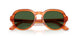 348371 - Light Brown - Dark Green