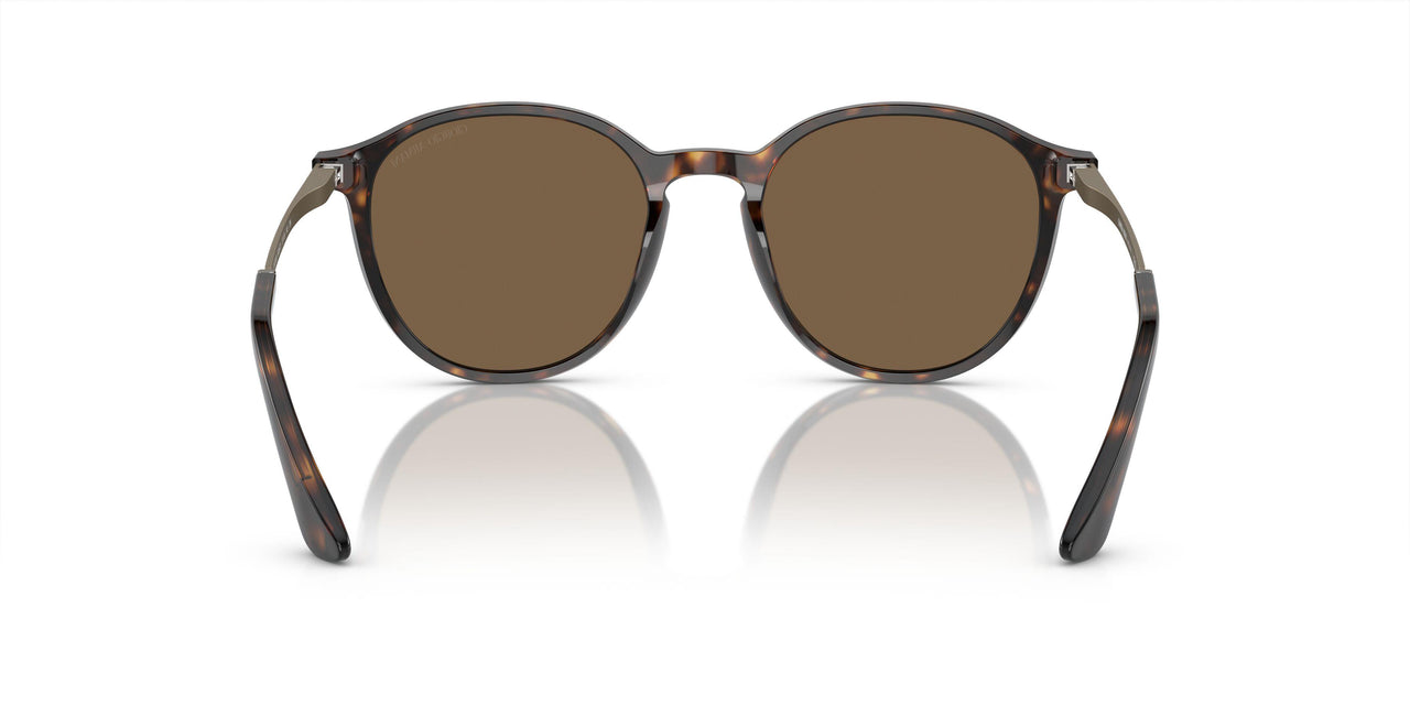 502673 - Tortoise - Dark Brown