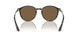 502673 - Tortoise - Dark Brown