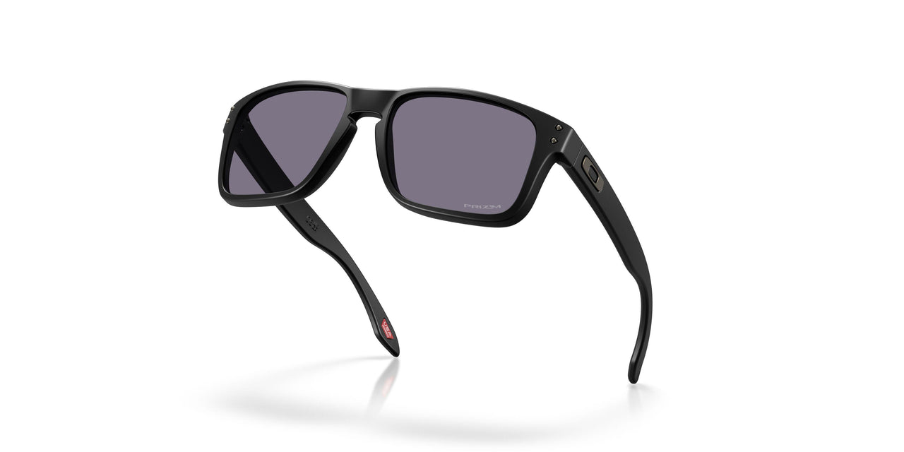 950902 - Black - Prizm Grey