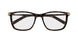 006 - Havana/Gold - Transparent