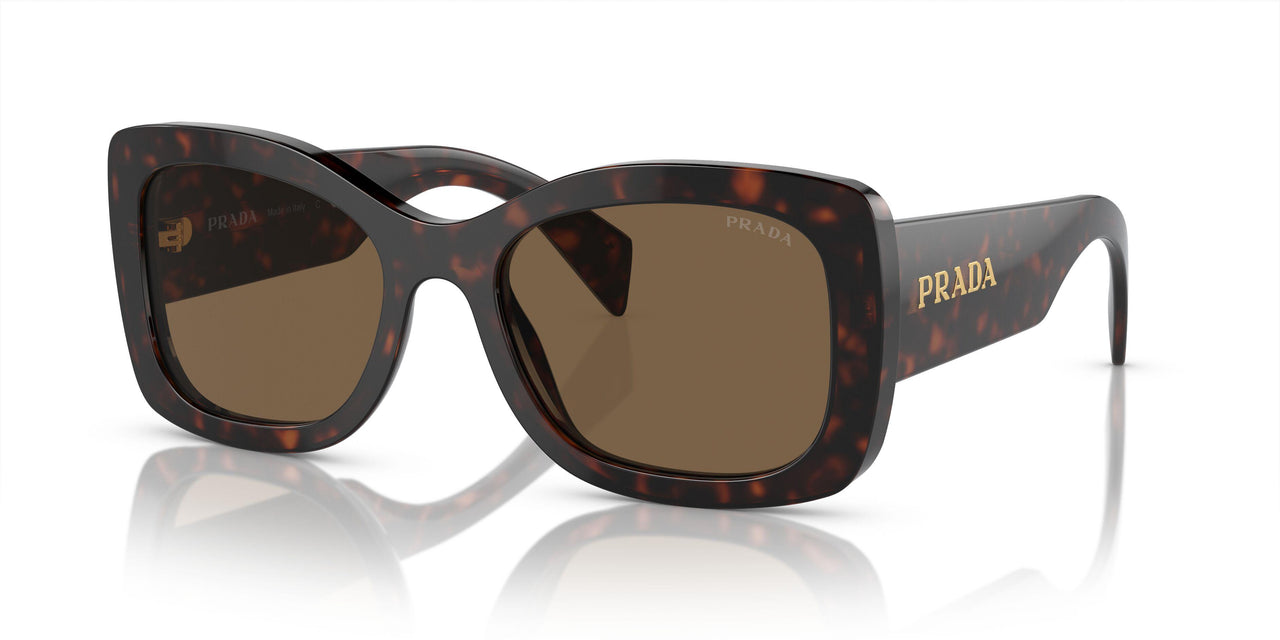 16N5Y1 - Brown - Dark Brown Polarized