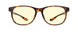 02301 - Tortoise - Amber Neutral-Focus
