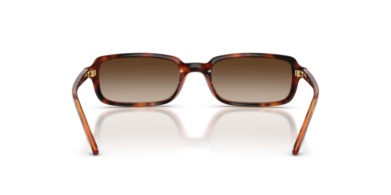 W65613 - Brown - Gradient Brown
