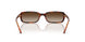 W65613 - Brown - Gradient Brown