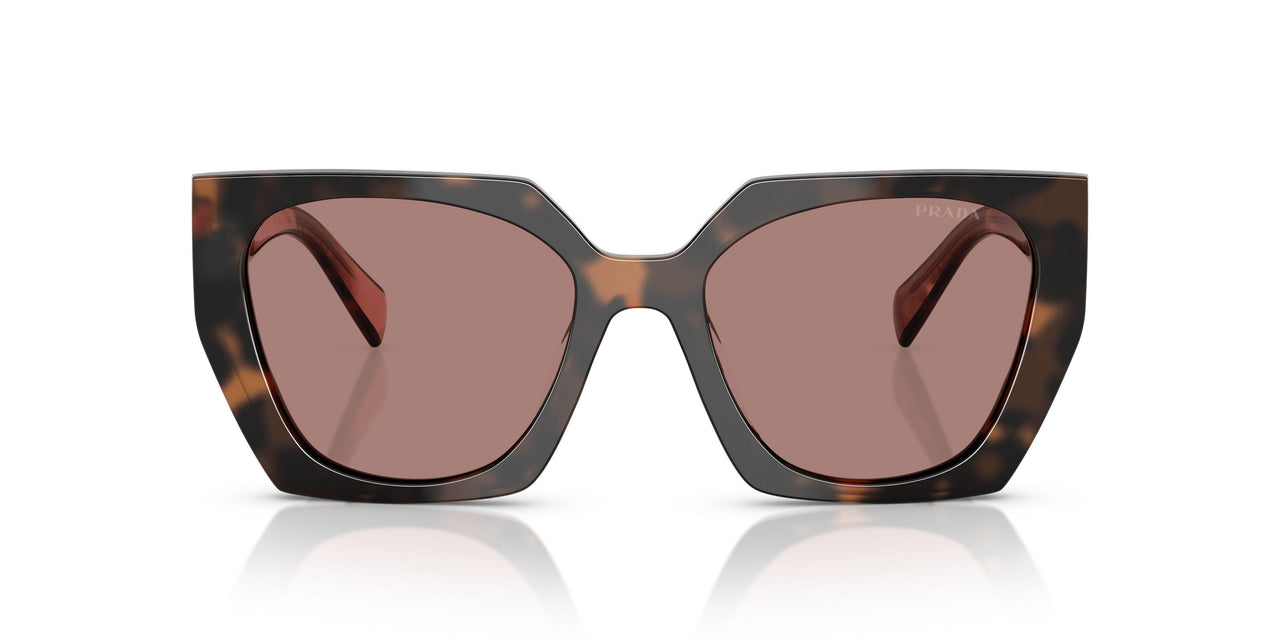 23A60B - Tortoise - Light Brown