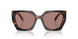 23A60B - Tortoise - Light Brown