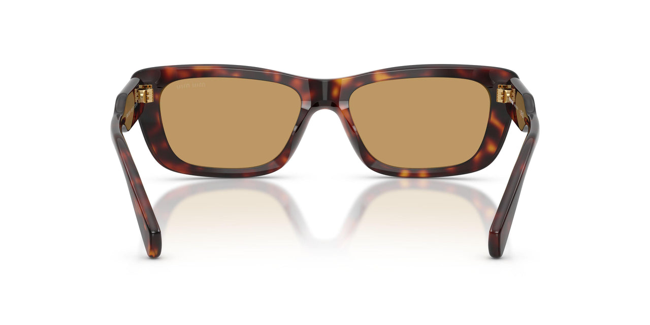 27L10Y - Tortoise - Brown