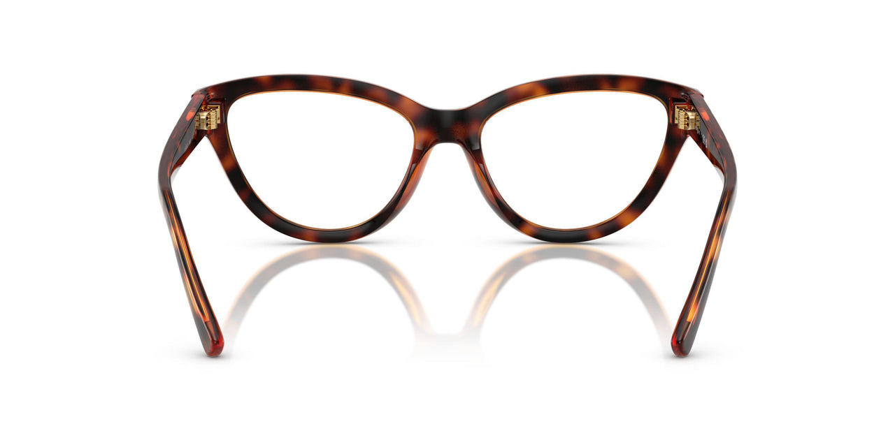 W656 - Brown