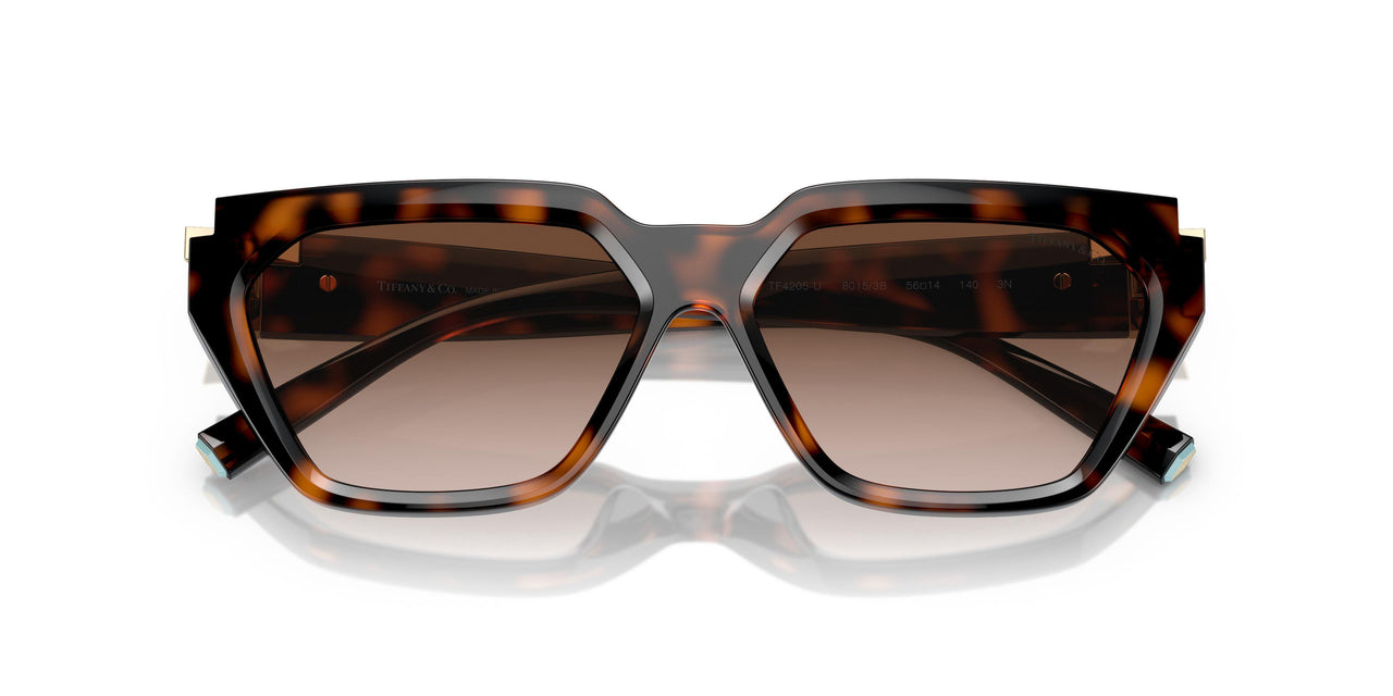 80153B - Tortoise - Brown Gradient