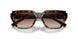 80153B - Tortoise - Brown Gradient