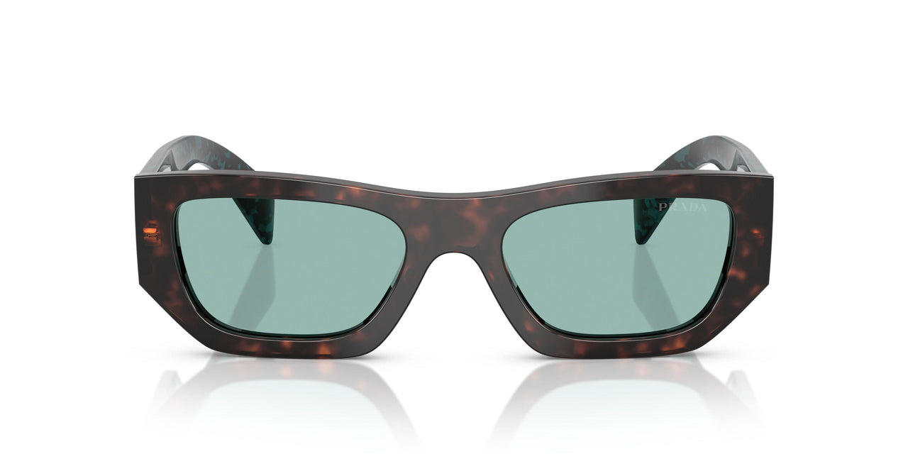 18Z40K - Tortoise - Petrol Green