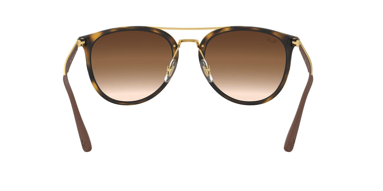 710/13 - Havana - Brown Gradient