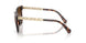 300613 - Tortoise - Smoke Gradient