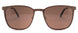 C2 - Gold Brown