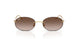 001/13 - Gold - Gradient Brown