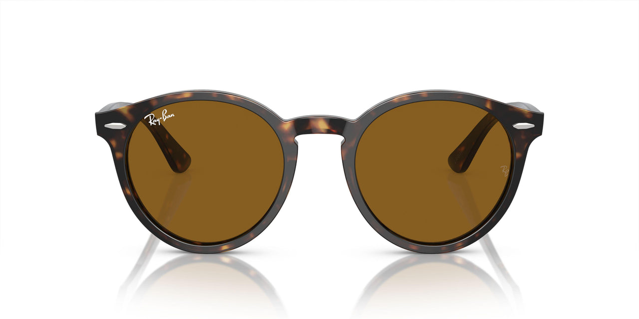 902/33 - Tortoise - Brown