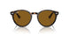 902/33 - Tortoise - Brown