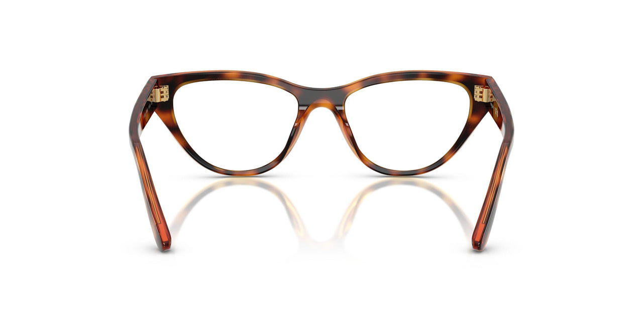 W656 - Brown