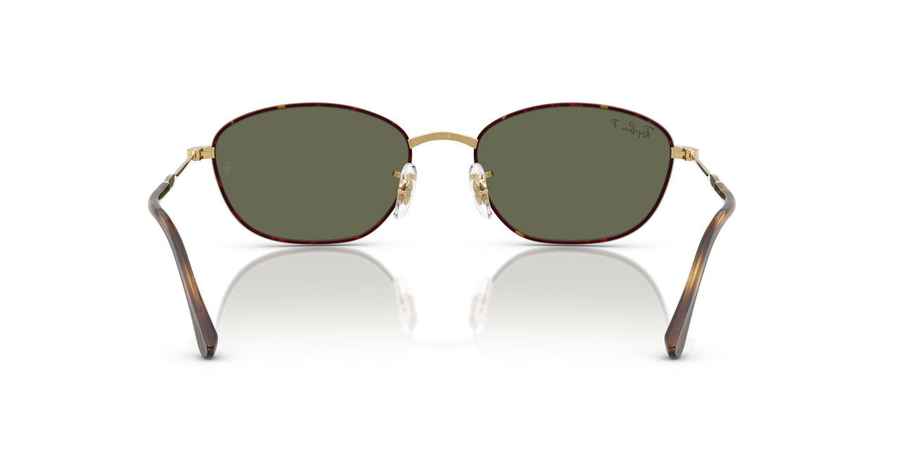 927358 - Tortoise - G-15 Green