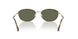 927358 - Tortoise - G-15 Green