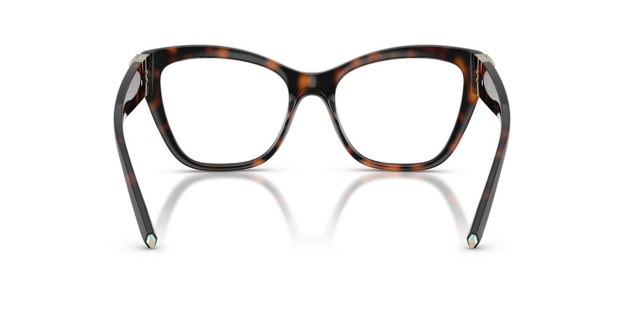 8015 - Tortoise