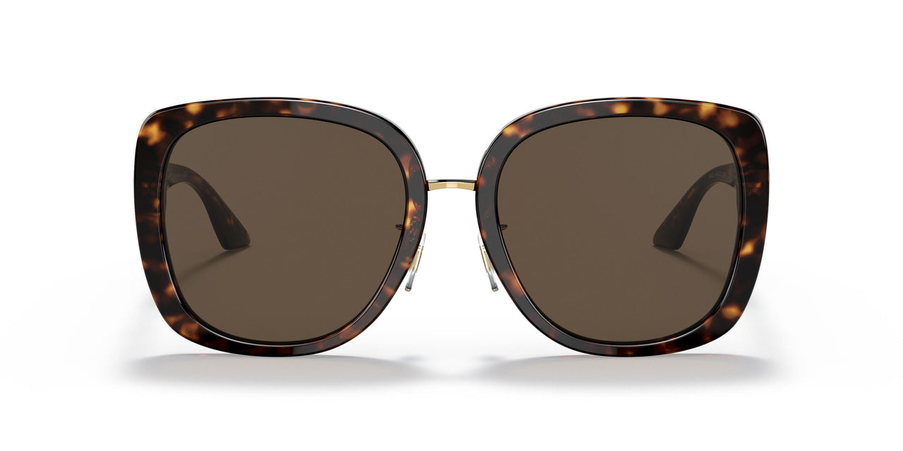 108/73 - Tortoise - Dark Brown