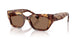 346273 - Brown - Dark Brown