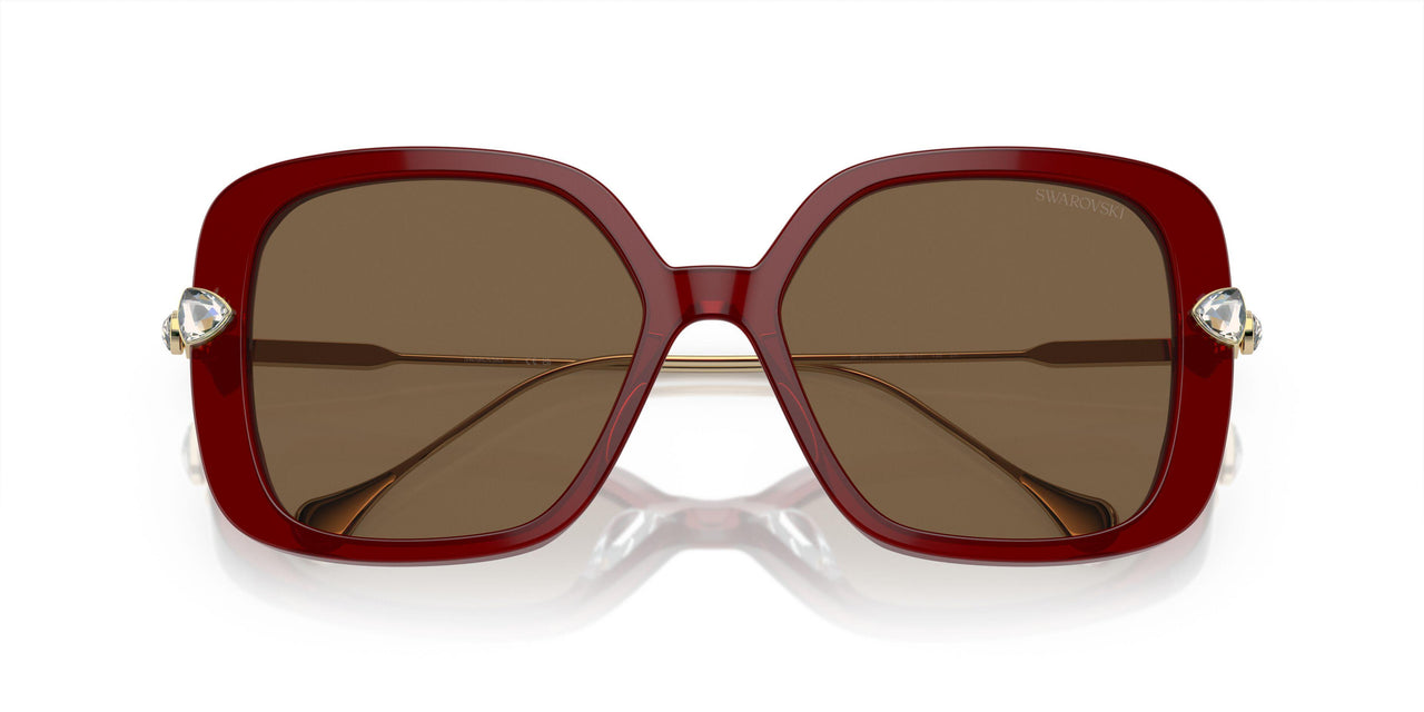 105573 - Violet - Dark Brown