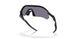 949506 - Black - Prizm Grey