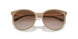 834213 - Brown - Gradient Brown