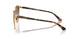 507813 - Brown - Brown Gradient