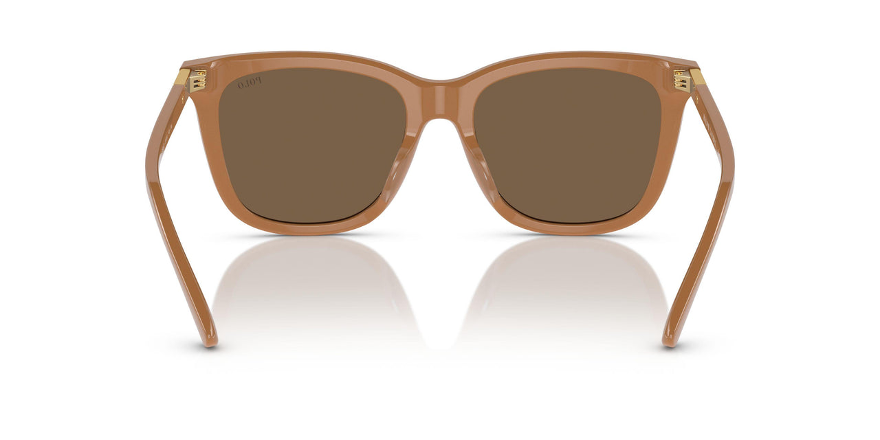 619673 - Brown - Dark Brown