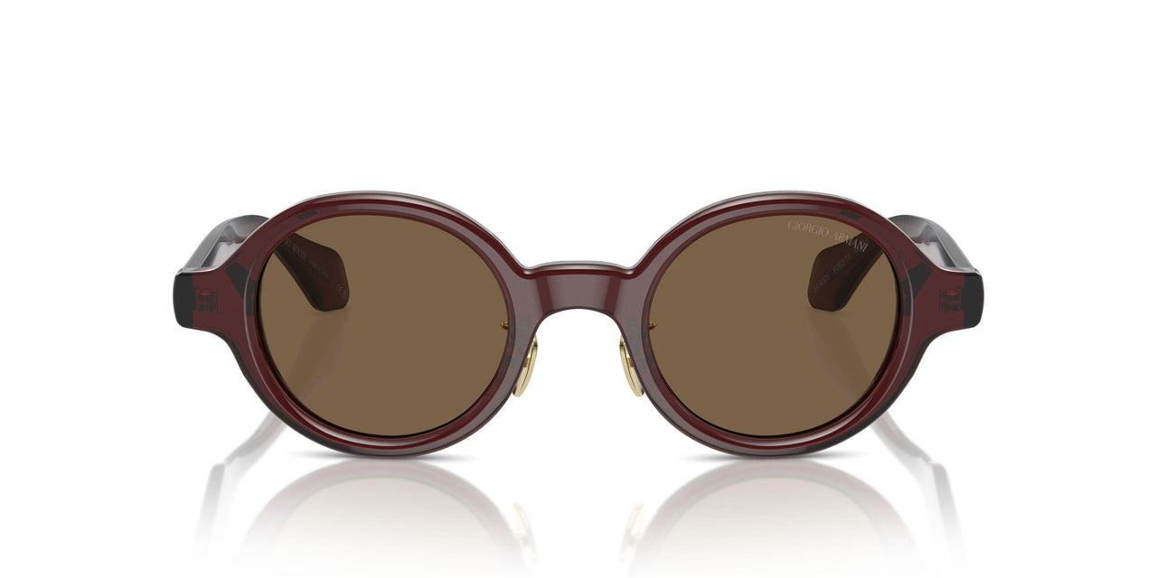 606273 - Brown - Dark Brown