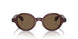 606273 - Brown - Dark Brown