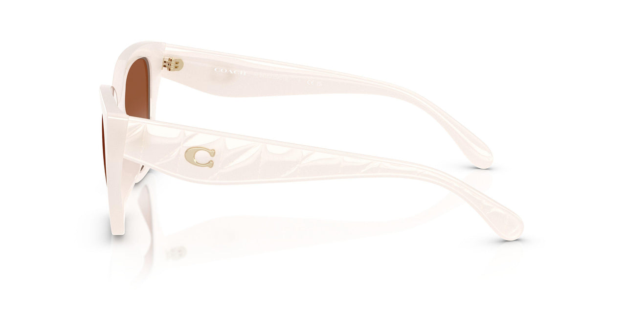 580513 - White - Brown Gradient