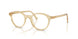 11T1O1 - Brown