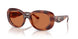 577473 - Tortoise - Brown Solid