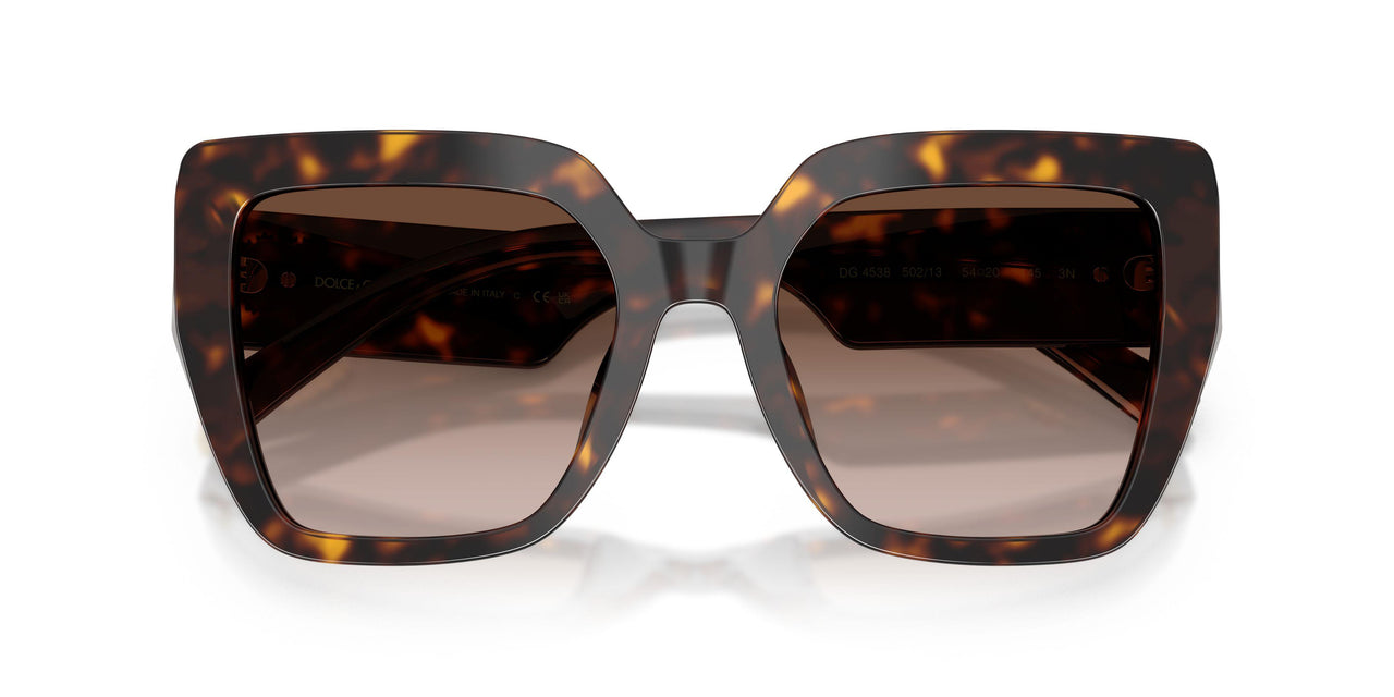 502/13 - Tortoise - Gradient Brown