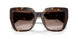 502/13 - Tortoise - Gradient Brown