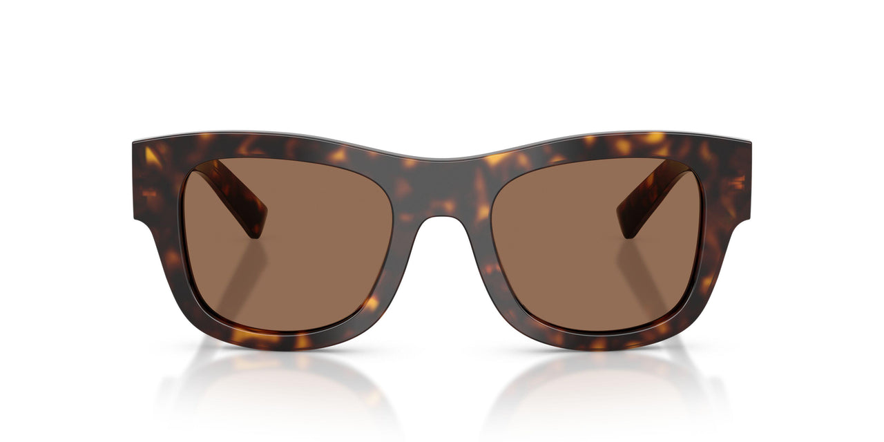 502/73 - Tortoise - Dark Brown
