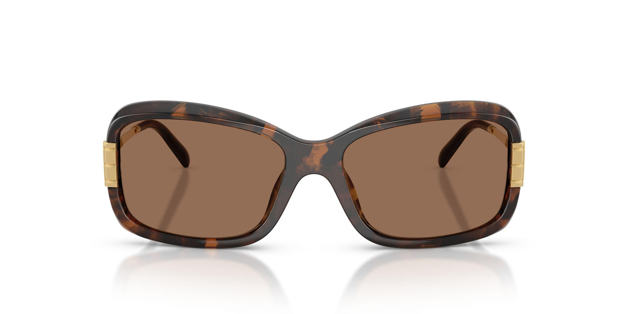 199273 - Tortoise - Dark Brown