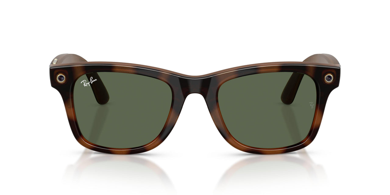 690571 - Tortoise - G-15 Green