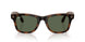 690571 - Tortoise - G-15 Green