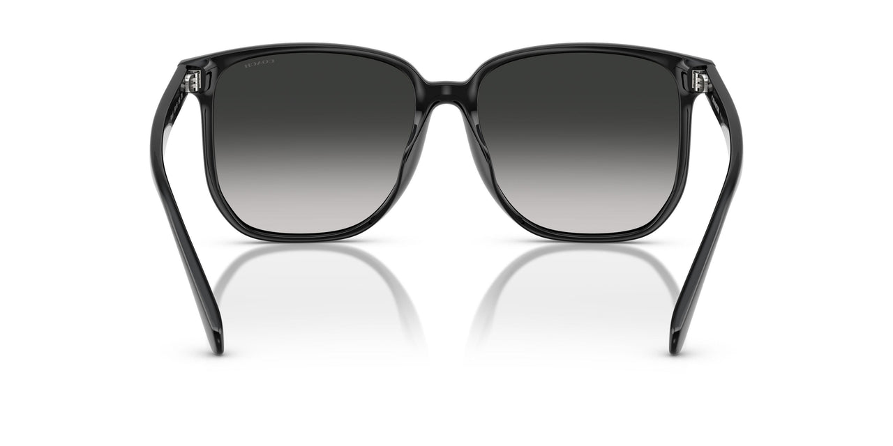 50023C - Black - Grey Gradient