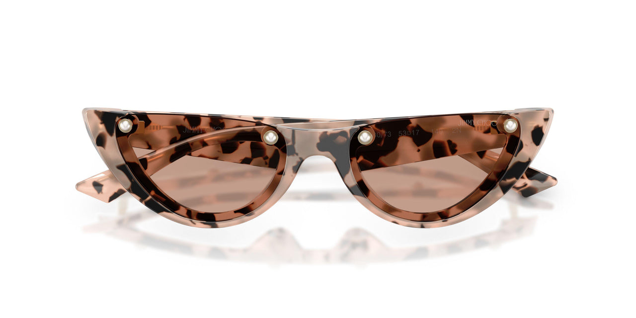 508073 - Tortoise - Brown