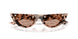 508073 - Tortoise - Brown