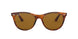 954/33 - Havana - Brown