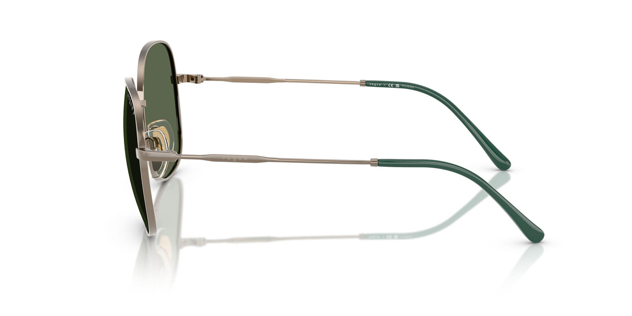 51389A - Brown - Dark Green Polar