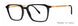 Valdo Enzo Eyeglasses